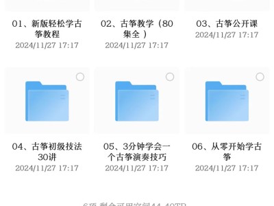 花888买来的乐器教学(包括古筝，电子琴，钢琴)