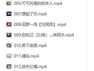 抖音热卖车载音乐+视频合集